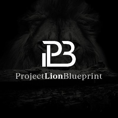 LionBlueprint Profile Picture