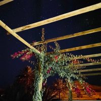 الوافي (@alwafi2537) 's Twitter Profile Photo