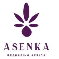 AsenkaGroupAfrica(@AsenkaGroup) 's Twitter Profile Photo