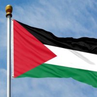 Ikigai 🏴󠁧󠁢󠁳󠁣󠁴󠁿🍀 (@celticfickle) 's Twitter Profile