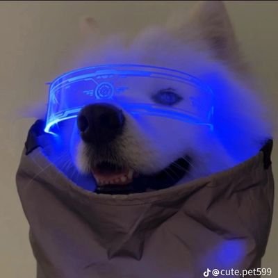 Ryu_ouu's profile picture. 