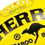 HalfBench's profile picture. big footy guy