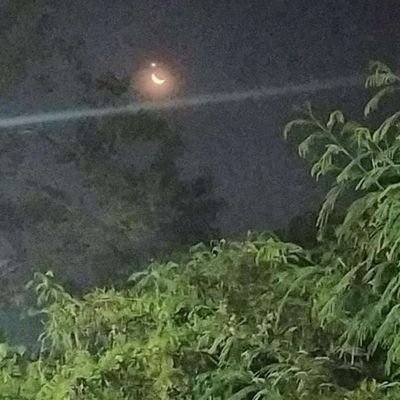 dewasapintar17's profile picture. 