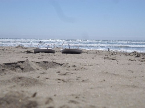 itskayceeking's profile picture. Teacher. Volleyball. Jesus. Family. Friends. oh and a little bit of Disney.