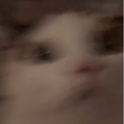 725ka_oreka_'s profile picture. だいがく☞@orya_53