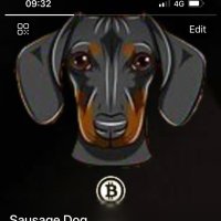 Sausage Dog (@sausagedog19) 's Twitter Profile Photo Sausage Dog (@sausagedog19) 's Twitter Profile Photo