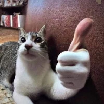 Goldenbrush1234's profile picture. 