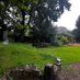 A Cotswold Cottage (@littlefollyfarm) Twitter profile photo A Cotswold Cottage (@littlefollyfarm) Twitter profile photo
