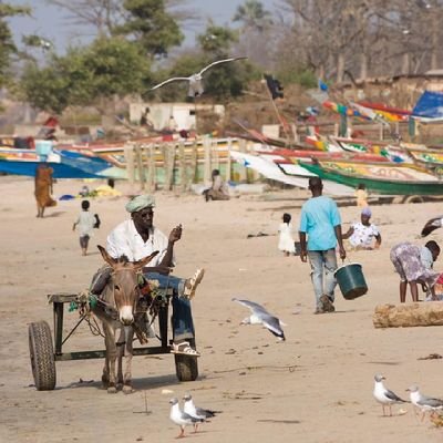 Welcome to The #Gambia The Smiling Coast of Africa 🇬🇲❤️✌🏾🏞️🌍