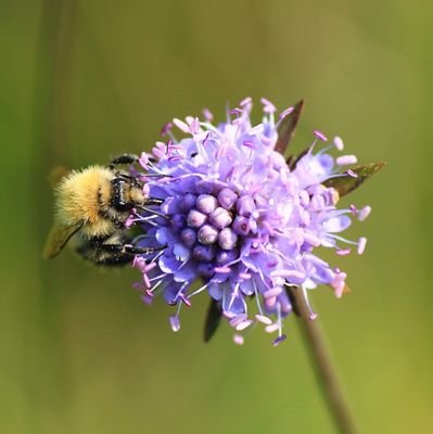 Amateur photographer, dedicated Europhile, and lover of all wildlife. Also despiser of Tories.