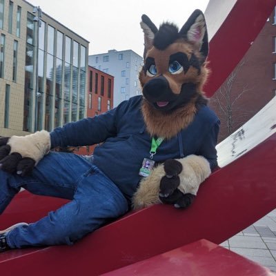 27 | developer | furry | lives in 🇩🇪 | gay 🏳️‍🌈 | he/him | single | likes cars, computers and geeky stuff | shy at first but likes meeting people
