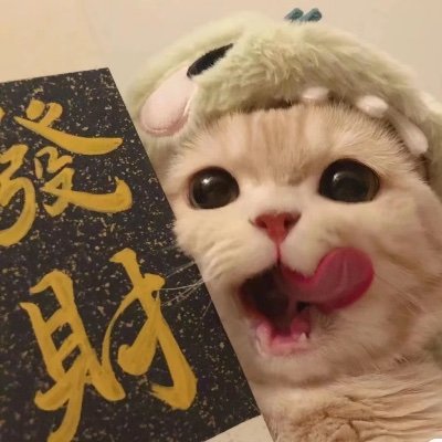 Firstfrostyy's profile picture. 