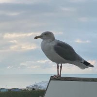 Matthew Berry (@regenanddevelop) 's Twitter Profile