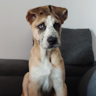 MiguelMotril's profile picture. Madridista de corazón. Me encanta hacer reír y suelo ser olvidadizo.