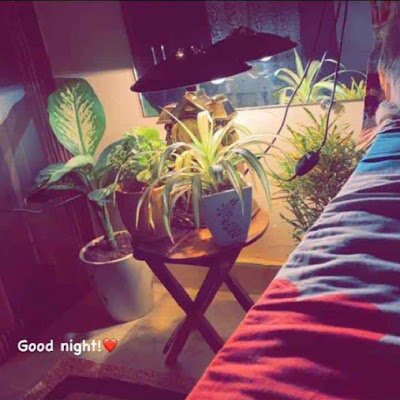 jaypawar953's profile picture. 