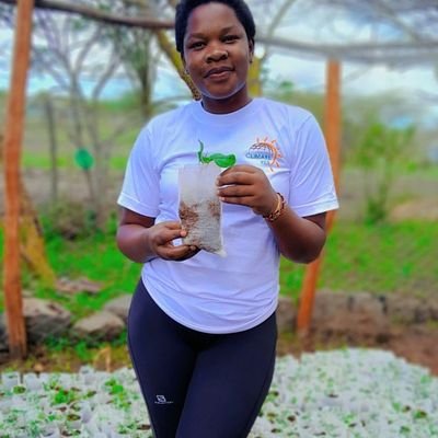 Environmentalist|fossil free campaighner|
CUEA Alumni
laudato si animator
Educator and trainer
YETI Alumni
KSL interpreter
