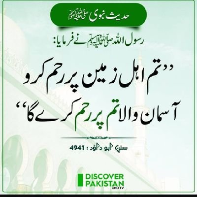 tayabafaisal121's profile picture. student