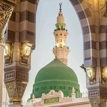 Madina7865