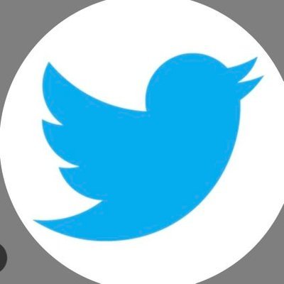 avel_c's profile picture. .