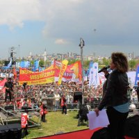 Ayfer Koçak (@ayferkocak_) 's Twitter Profile