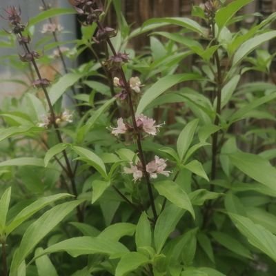 Cdric2078790's profile picture. 