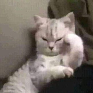 성인 20⬆️| 영화 봅니다
                                                                   많은 구독과 약간의 주저리로 이루어짐 취향유목민