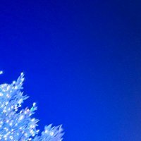 タバスコオレンジ (@tidtuj) Twitter profile photo