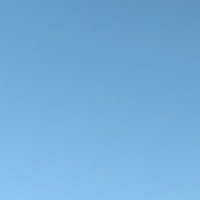 ねこいぬ (@gosoargkeiybu4i) 's Twitter Profile Photo