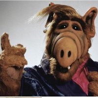 ALF(@ALFOO7) 's Twitter Profile Photo