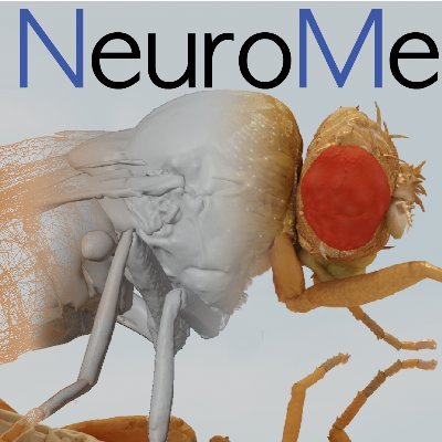 NeuroMechFly - whole organism simulation of the fly, Drosophila melanogaster
https://t.co/44sstPygzB
#neuromechfly
https://t.co/fIhMXYrHry