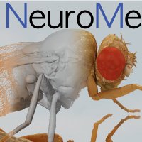 NeuroMechFly(@neuromechfly) 's Twitter Profile Photo