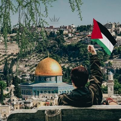 Free Palestine 🇵🇸