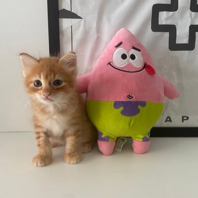 Hiiさんのプロフィール画像