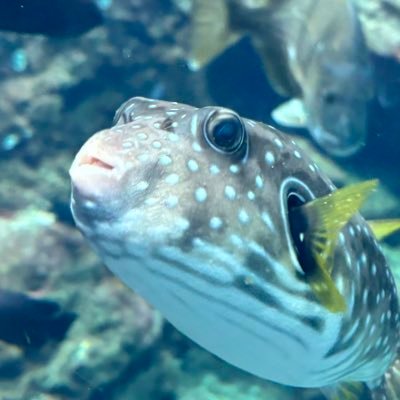𓆡です 愚痴晒してます口悪いメンゴ日常ツイメイン メイクとコスメの話すると嬉しい 下ネタと愚痴酷い垢→@fugnoshirako
