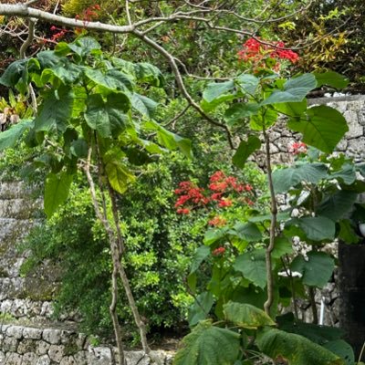 AYhT50KorJgVXrj's profile picture. 