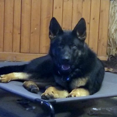 Craiger024's profile picture. 