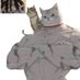 get_buff_cat (@gx74063) Twitter profile photo get_buff_cat (@gx74063) Twitter profile photo