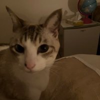 ひとり (@hitori3567) 's Twitter Profile