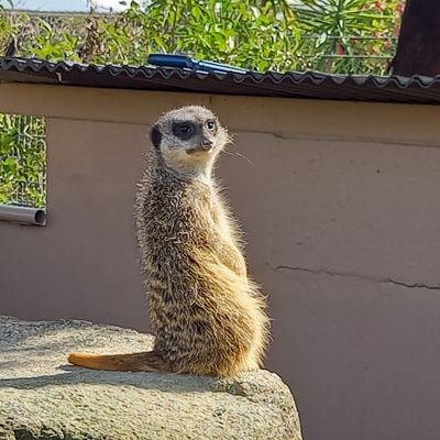 むさんのプロフィール画像