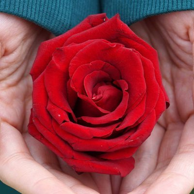 De las flores la más hermosa, es la que lleva por nombre ROSA
De derecha, la izquierda ni para usar el reloj