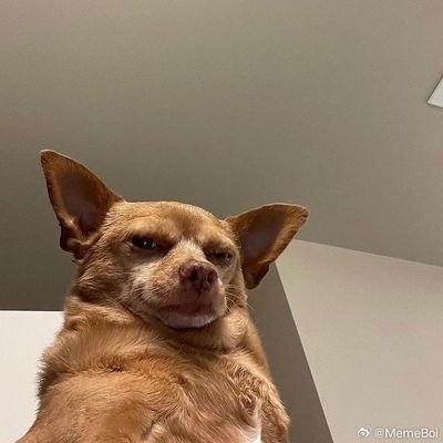 vm_3k's profile picture. 