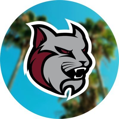 Official twitter account of the Anna Maria College Baseball Program.