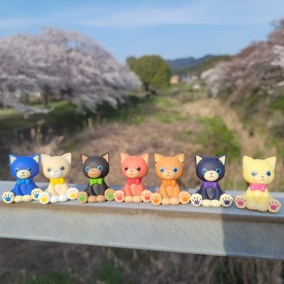 ここはプリンスキャットとぬいスターのテーマに沿った写真を投稿する企画アカウントです。

キャットとぬいの花祭りの開催期間は3月16日～5月16日です。

お花見会→4月20日
後夜祭→5月18日
詳細については、日程が近くなったらお知らせします。

花祭りのお約束は、固定ポストをご確認ください。