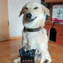 Liam Lowe - @Hdrobins2006 - Twitter