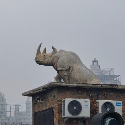 Mirandaz3373's profile picture. 被误解是表达者的宿命100%fo