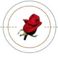 One Rose Consulting, LLC(@1roseconsulting) 's Twitter Profile Photo