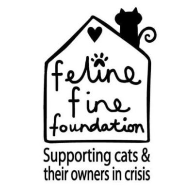 Bristol-based registered charity providing emergency foster spaces for cats in need