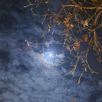 Miller Thomas Author🧛👻 (@millerthomaspu1) 's Twitter Profile