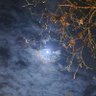 millerthomaspu1's profile picture. Old soul & teller of tales. Award winning author of #mystery #suspense #paranormal #vampire #fantasy https://t.co/gzMknDbvGi