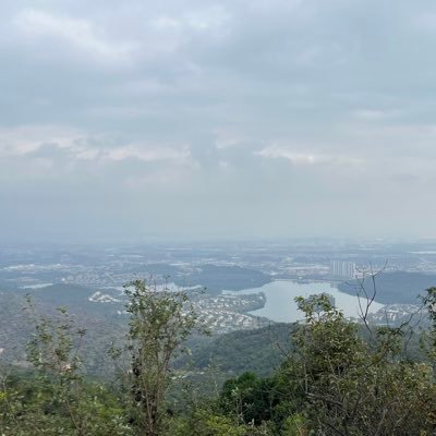 dianhang2024's profile picture. 金融投资10年，亏了10年，2022年扭亏为盈，从此币圈自由了。 但是未来，有点孤单。